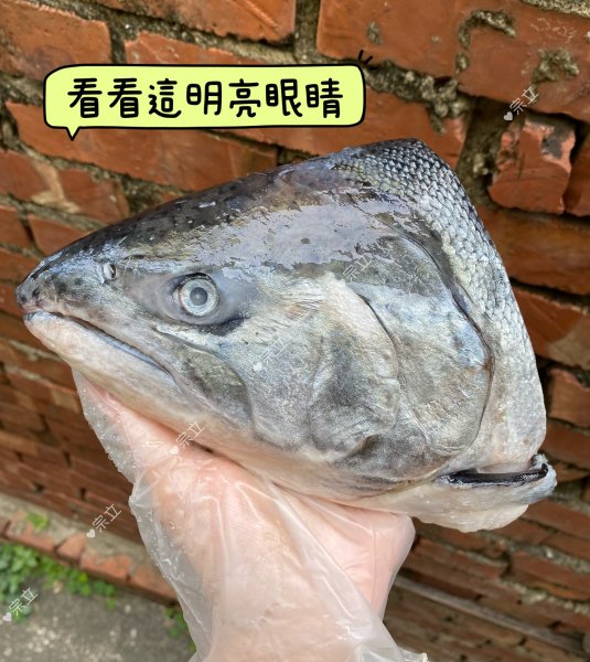 鮮嫩剖半鮭魚頭400-500公克(半顆)